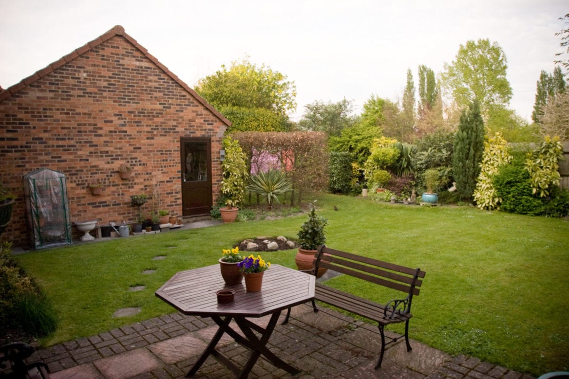 A garden in a homestay in Cambridge