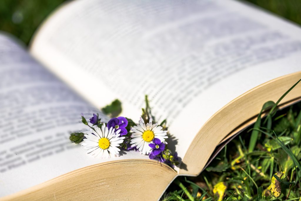 Daisies and other flowers lie in the crease between the pages of an open book lying on the grass in springtime